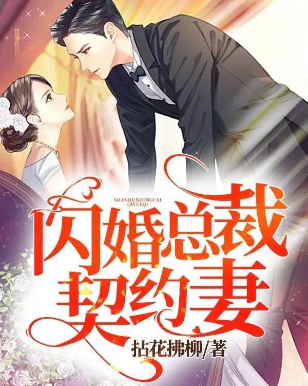 闪婚总裁契约妻子，最新章节与契约婚姻新解读