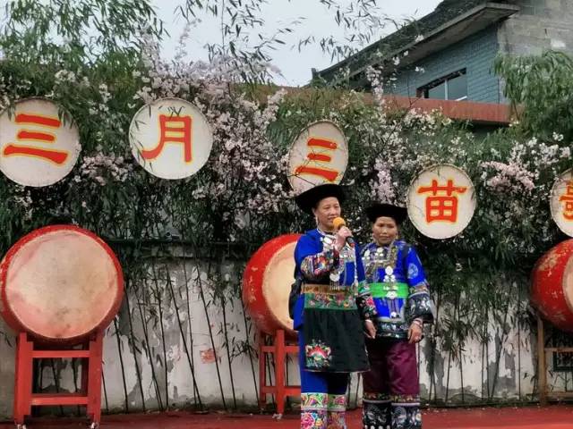 最新苗歌教程，一步步学会唱苗歌经典曲目