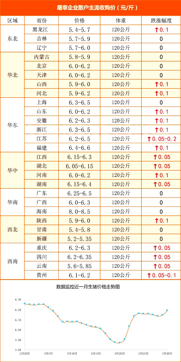 辽宁生猪最新行情深度回顾与洞察