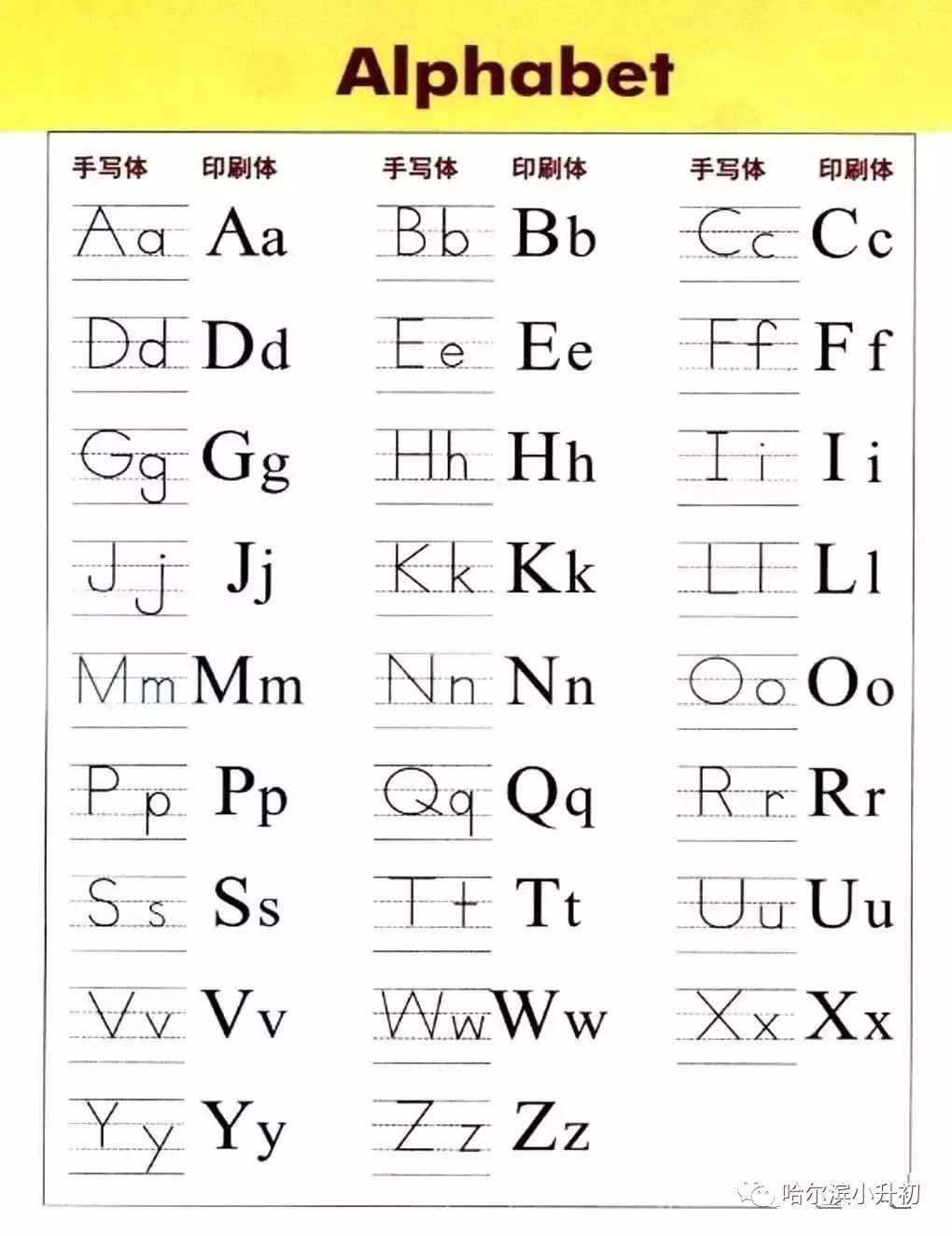 最新英语字母，开启语言探索之旅，培养自信与成就感的源泉