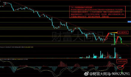 恒指最新价，变化中的机遇，引领未来之路的财富航标