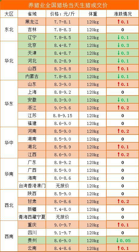 最新猪价概览，小巷深处的猪肉风味探索