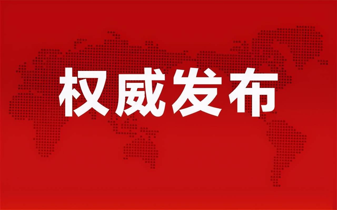 蔡国权最新动态揭秘，小巷深处的独特风味探秘之旅